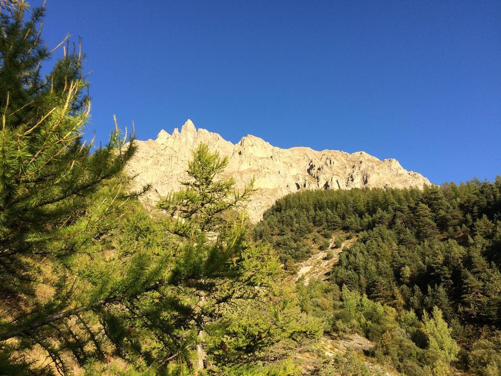 Gite Le Pelens Saint-Martin-d'Entraunes Bagian luar foto